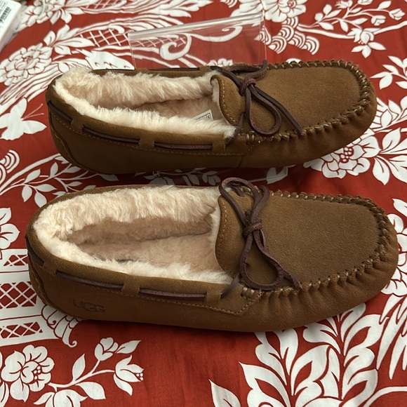 Uggs Dakota tag read 8 but a bit tight imo new with out a box - Picture 4 of 7